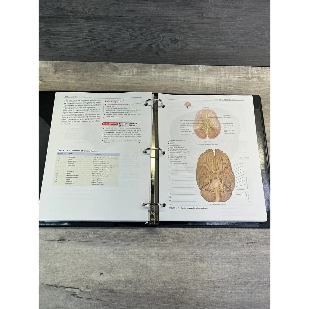 Laboratory Manual for Anatomy and Physiology 6e Loose Leaf Print Co in Binder